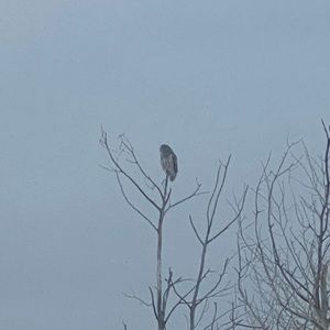 Meet your Posher, Zachery